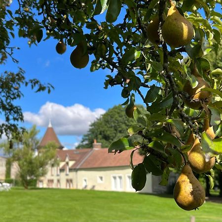 Le Petit Chateau Baye  Εξωτερικό φωτογραφία
