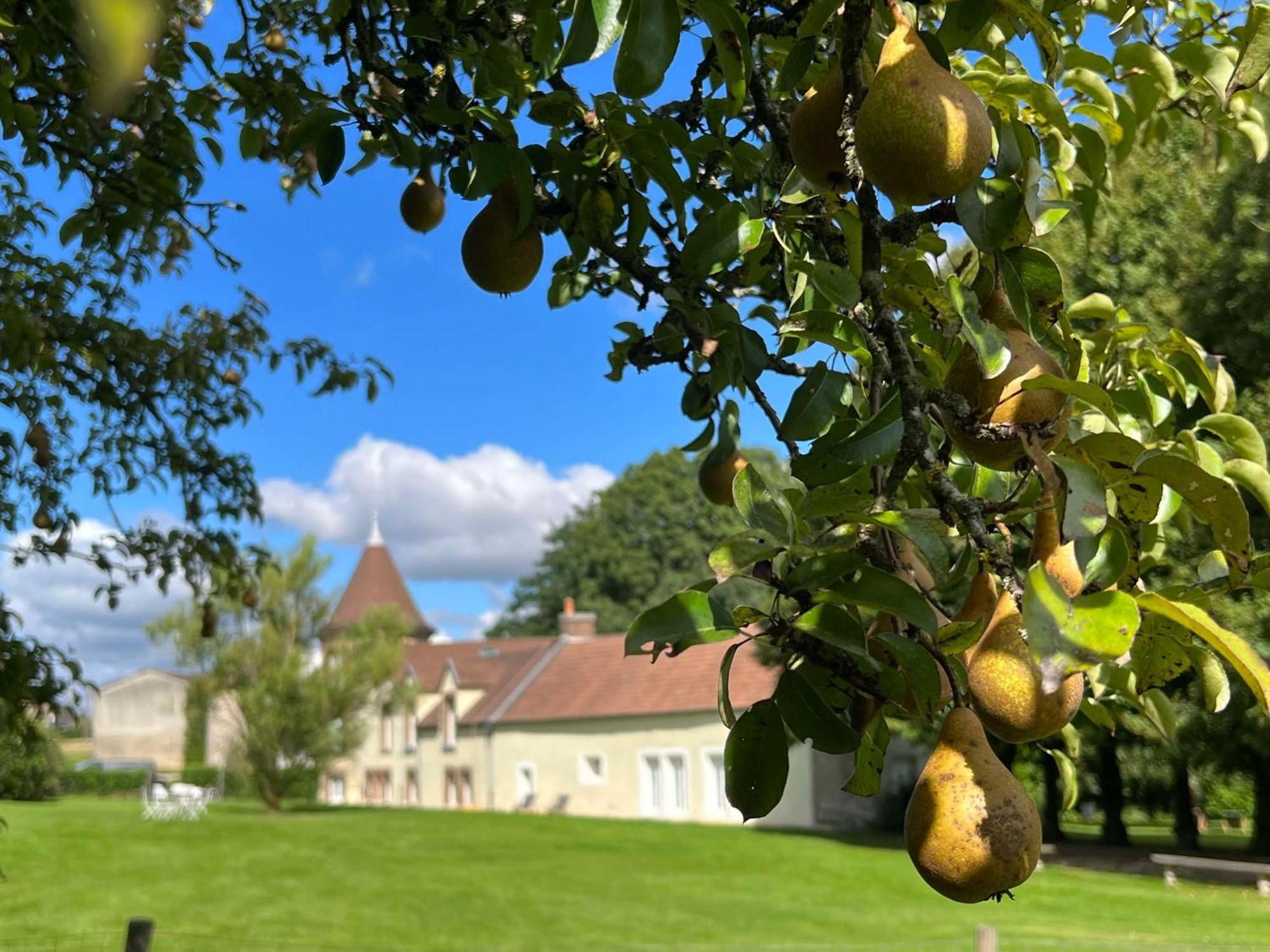 Le Petit Chateau Baye  Εξωτερικό φωτογραφία